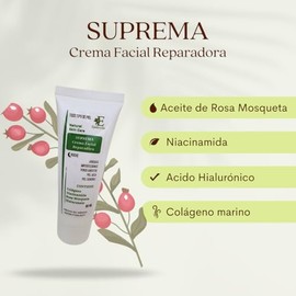 Epidermika, Crema Facial de Noche, Reparadora, Formula Natural, Hidratante, Antiarrugas, Imperfecciones, Revitaliza la piel, Luminosidad, Piel sensibl