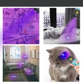 YUCHIYA Dog Poop Bags Holder with UV Flashlight with 1 Roll of Leak-Proof Dog Waste Bags Black Light for for Pet Urine Detector with Built-in LR44 Batteries and Dog Walking Accessories (Crystal Blue)