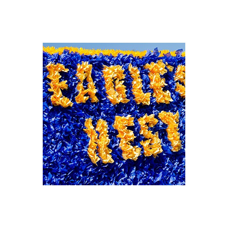 DecoPuffs Tissue Paper Squares, Dark Blue, 5-1/2" x 5-1/2", 300
