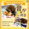 Wanmaru Shoten Prank Sneakers, Dog, Toy, Chewing, Plush Shoes, Sounds,