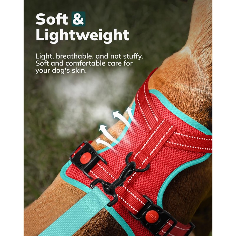 FAYOGOO Dog Harness, No-Pull Pet Harness Set for Small Medium