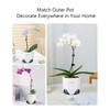 Meshpot 10 cm Orchid Pots with Holes, Set of 2,