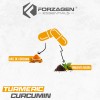 Forzagen Essentials Turmeric Curcumin 120 Caps | Cúrcuma Sabor Sin