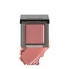 Celvoke Infinity Color N 09 Marsh Rose Marsh Rose Eye