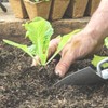 (SCGEHA) Hydroponic Cultivation Pot Seedling Kit, Pot, Sponge Set, Black,