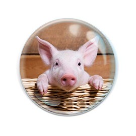 Deluxebase Magnidome - Pig from Farm Animal Crystal Glass Fridge Magnet for Kids. Superb domed shaped magnets for home decorations and accessories