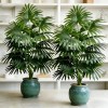 Palmera Artificial Premium Decorativa Para Interior Exterior