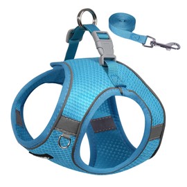 AIITLE Dog Harness and Leash Set, No Pull Step in Puppy Harness with Super Breathable Mesh, Reflective Puppy Essentials for Outdoor Walking, Training for Small Dogs, Cats Blue XS
