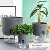 iDattel Flower Pot with Watering System, Herb Pot Kitchen Set,