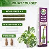 Duspro DUSPRO Stackable Mesh Moss Pole for Plants Monstera Potted