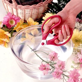 ARS SS-FL16 1.75" Blade FL Series Floral Shears