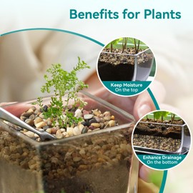 Rahato 2.5 lbs Small Rocks for Plants, 1/5 Inch Gravel for Plants Drainage, Decorative Potting Pebbles for Indoor Plants, Vases, Bamboo, Succulent, Terrarium, Crafts, Cactus