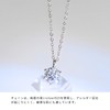 PlumRiver Women's Moissanite Necklace, Accessory, Jewelry, One Piece, Shine Approximately