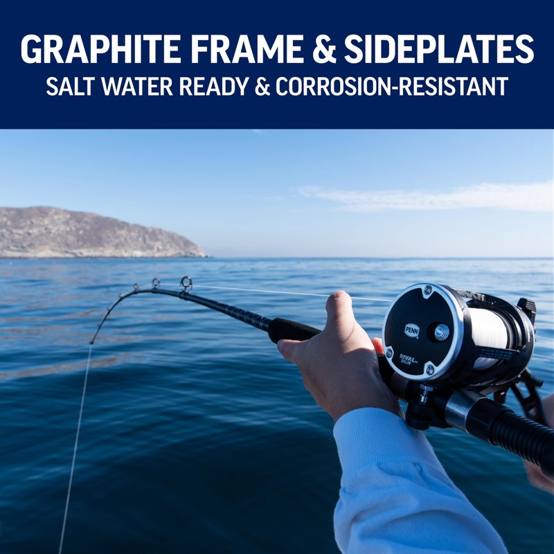 Penn Rival Level Wind - Carrete de Pesca Convencional, RIV30LW,