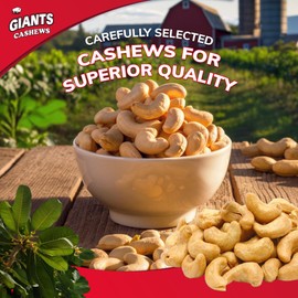 GIANTS Snacks Cashews Variety Pack - Cashews Individual Packs, Cashews Roasted Lightly Salted, Individual Cashew Snack Packs, Whole Salted Cashew Nuts, Flavored Cashews - 4 oz (Pack of 4)