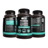 PURE ORIGINAL INGREDIENTS Marine Collagen (365 Capsules) No Magnesium Or