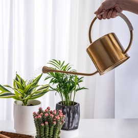 Yowon Stainless Steel Watering Can 40 oz Long Spout Indoor Outdoor Plant Watering Wrap Twine Around The Handle with 2 Removable Spray Spout for Flowers