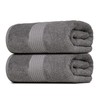 Dewall Maisons Luxurious Dark Grey 2-Piece Bath Sheet Set Plush