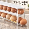 Automatic Rolling Egg Holder for Refrigerator Storage – 2-Tier Space-Saving