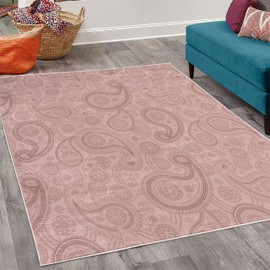 Lunarable Paisley Decorative Rug, Romantic Old Fashioned Leaf Motifs Vintage Design Royal Victorian Revival, Quality Carpet for Bedroom Dorm and Living Room, 4' X 5' 5", Dried Rose