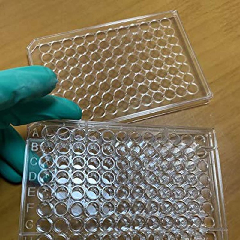 96-Well Cell Culture Plate，5PCS，Flat Bottom