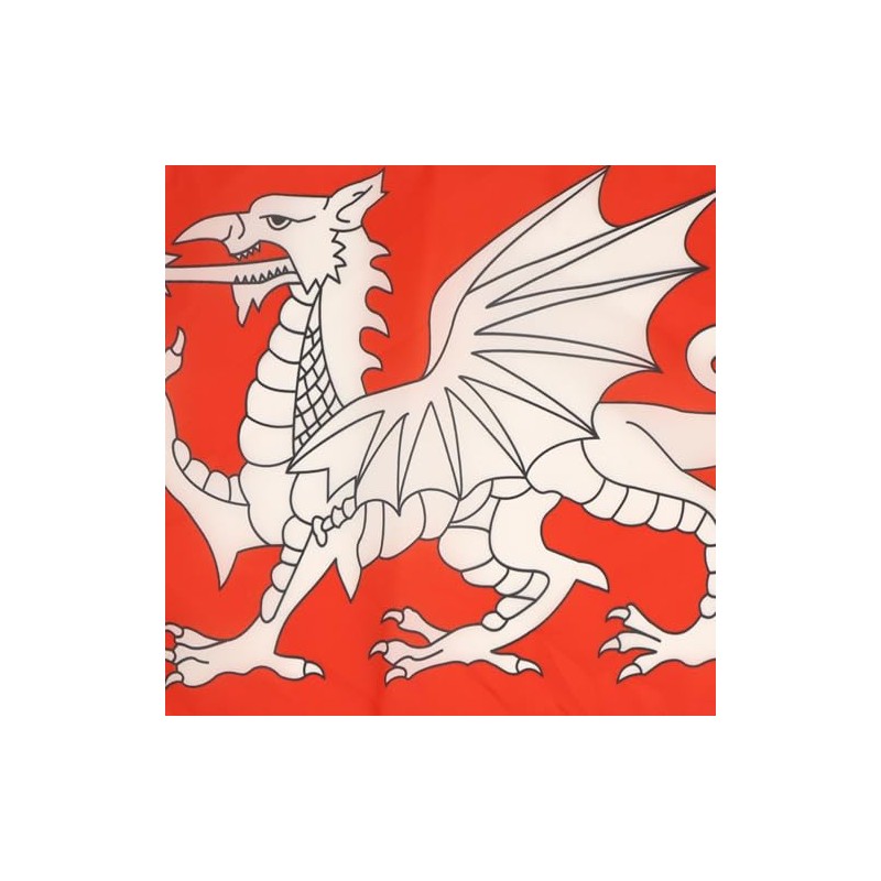 AZ FLAG English White Dragon Flag 18'' x 12'' cords