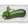 Summer Squash, Zucchini Cashflow Hybrid Seeds
