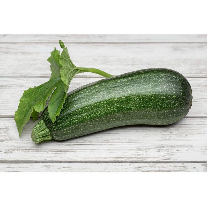 Summer Squash, Zucchini Cashflow Hybrid Seeds