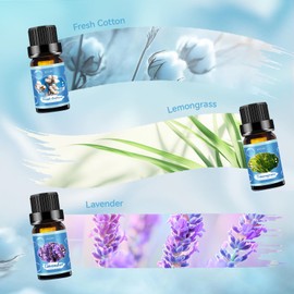 Clean Essential Oils Set | Premium Fragrance Oils Set for Diffuser, Home Care, Candle Making, Fresh Home, Aromatherapy Gifts - Lavender, Mint, Sweet Orange, Eucalyptus, Lemongrass, Clean Cotton