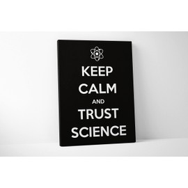Damdekoli Keep Calm Trust Science Poster (8 x 10 Inches - Canvas)