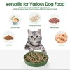 Silicone Slow Feeder Cat Bowl with Detachable Stand, Green