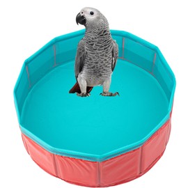 FlidRunest Conure Bathtub for Outdoor, Portable Parrot Bath Tub for Traver, Easy to Store and Carrier, Bird Pool Bathing Tub for Small to Large Birds African Grey Conure Lovebird Parakeet