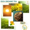 Teavity Organic Peppermint Ginger Tea Pods for Keurig - Decaf,
