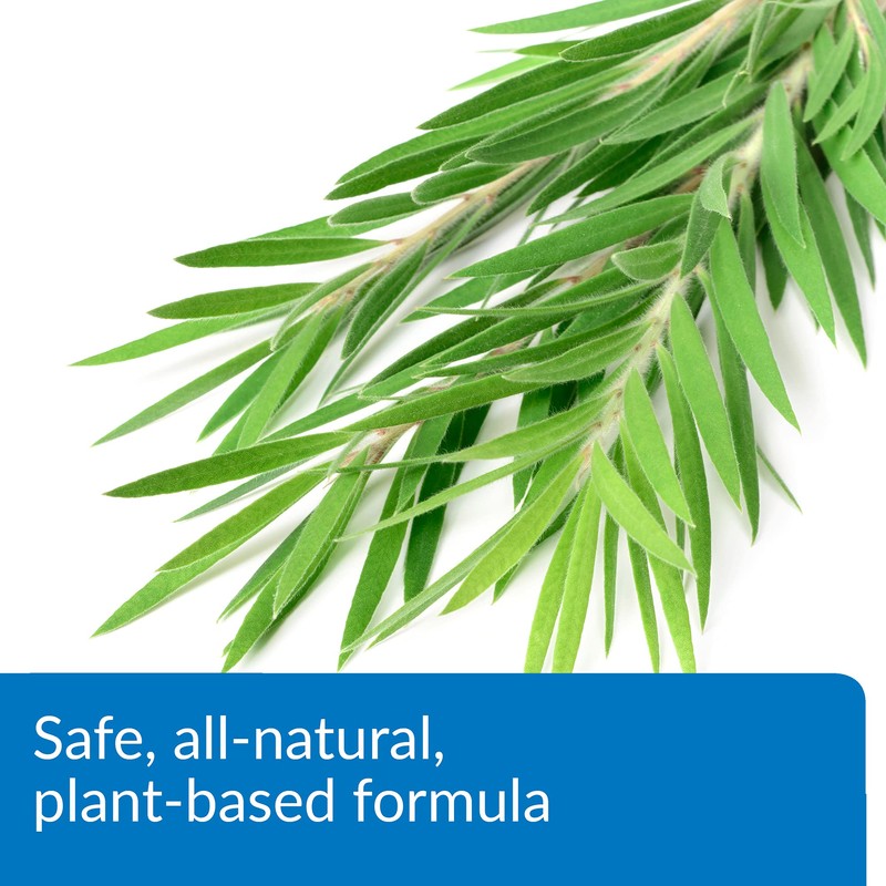 API TURTLE FIX Nonbacilli Turtle Remedy 4-Ounce Bottle