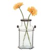 Creative Co-Op Glass vase in Metal Stand with Metal Frog