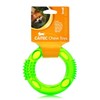 Chase 'N Chomp Foraging Ring for Pets, Small