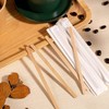 Disposable Coffee Pallets Individually Wrapped, Biodegradable and Compostable (Pack of