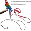 Bird Leash Bite Resistant Adjustable Parrot Flying Training Rope for