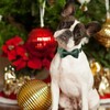 ARING PET Velvet Dog Collar-Christmas Bowtie Dog Collars, Soft&Comfortable Green