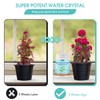 2LB Water Storing Crystals for Plants with Spoon, Water Gel