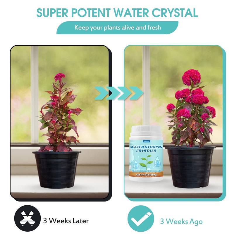2LB Water Storing Crystals for Plants with Spoon, Water Gel