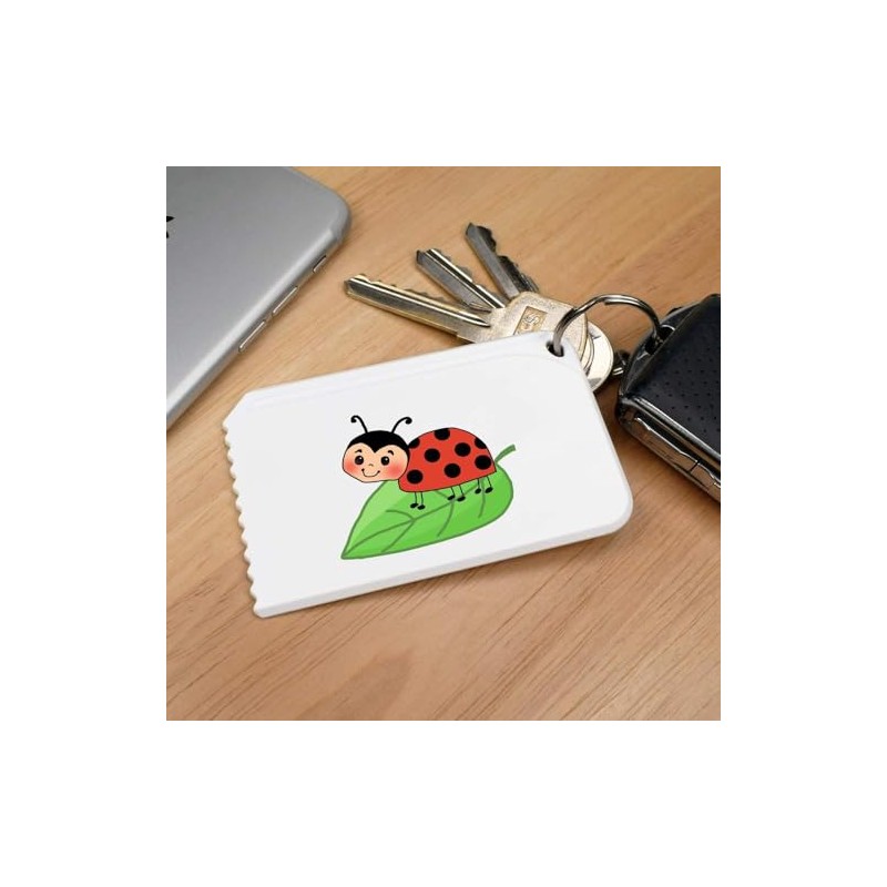 Azeeda 'Ladybird' Plastic Ice Scraper (IC00034669)