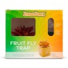 ZendoZones Succulent Fruit Fly Trap – Joyful Janet Design with