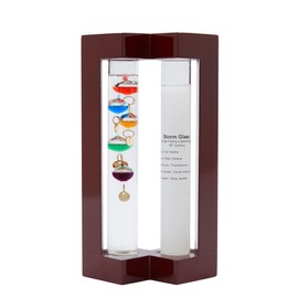 Weather Station with Glass Galileo Thermometer with 5 Multi Colored Balls from 64ºF to 80ºF Fitzroy Storm Glass Gift for Family or Friends Present Home, Office Indoor Décor (7.8" x 4.8")