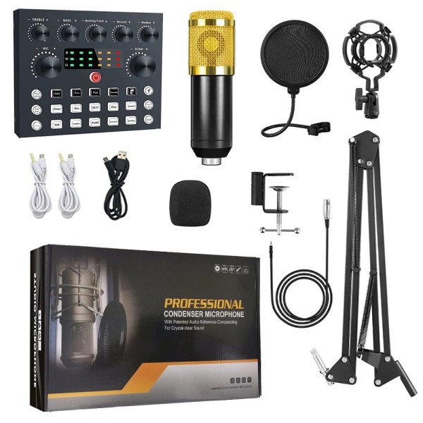 Loudstar Acoustics Professional Podcast Microphone Kit, V8 Sound Card Bundle