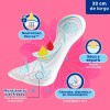 Toallas Incontinencia Tena Lady Discret Extra Larga 40 Pzas
