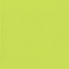 PAPSTAR Napkins 2-Ply 40 x 40 cm / Light Green