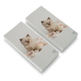 Miradoll Ragdoll Cat Kitten Flowers Eraser Set of 2