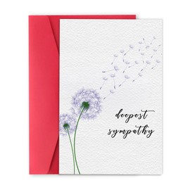 LiuuLi Sympathy Card for Women Men,Sympathy Gifts from Both or from All,Thinking of You Cards with Envelopes,Bereavement Cards,Condolence Card for Her