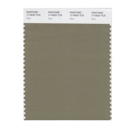 PANTONE Smart 17-1036X Color Swatch Card, Bistre